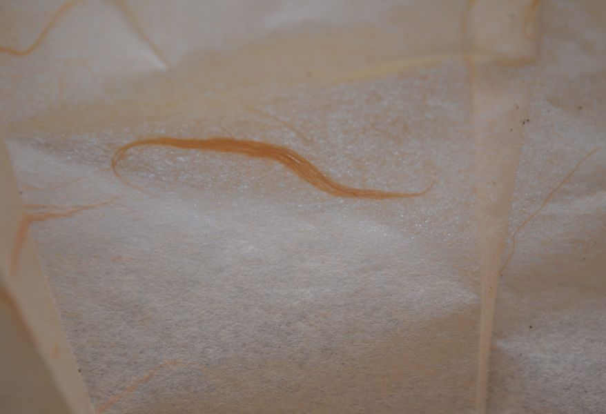 2006年大紅袍普洱茶 