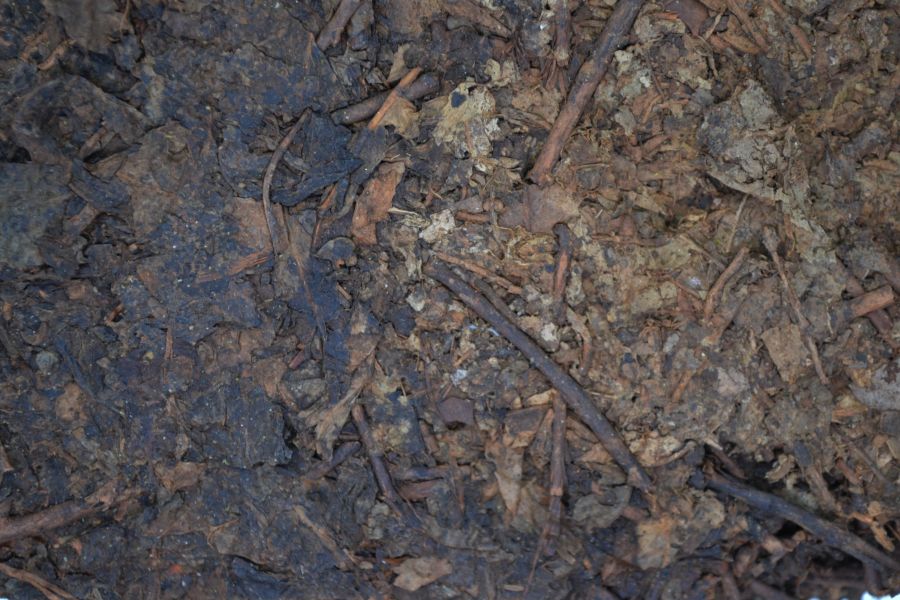 1970藏茶蔘香藥香花磚茶 