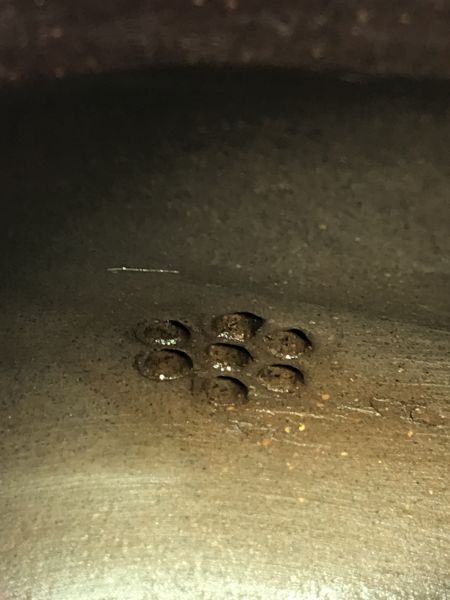 1980年留佩壺作者:徐新妹(紫砂) 