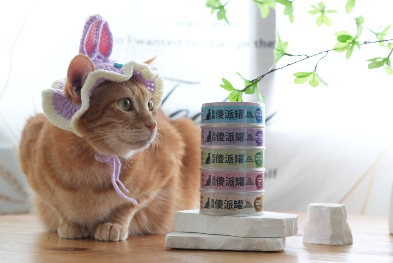 台灣貓飼料品牌