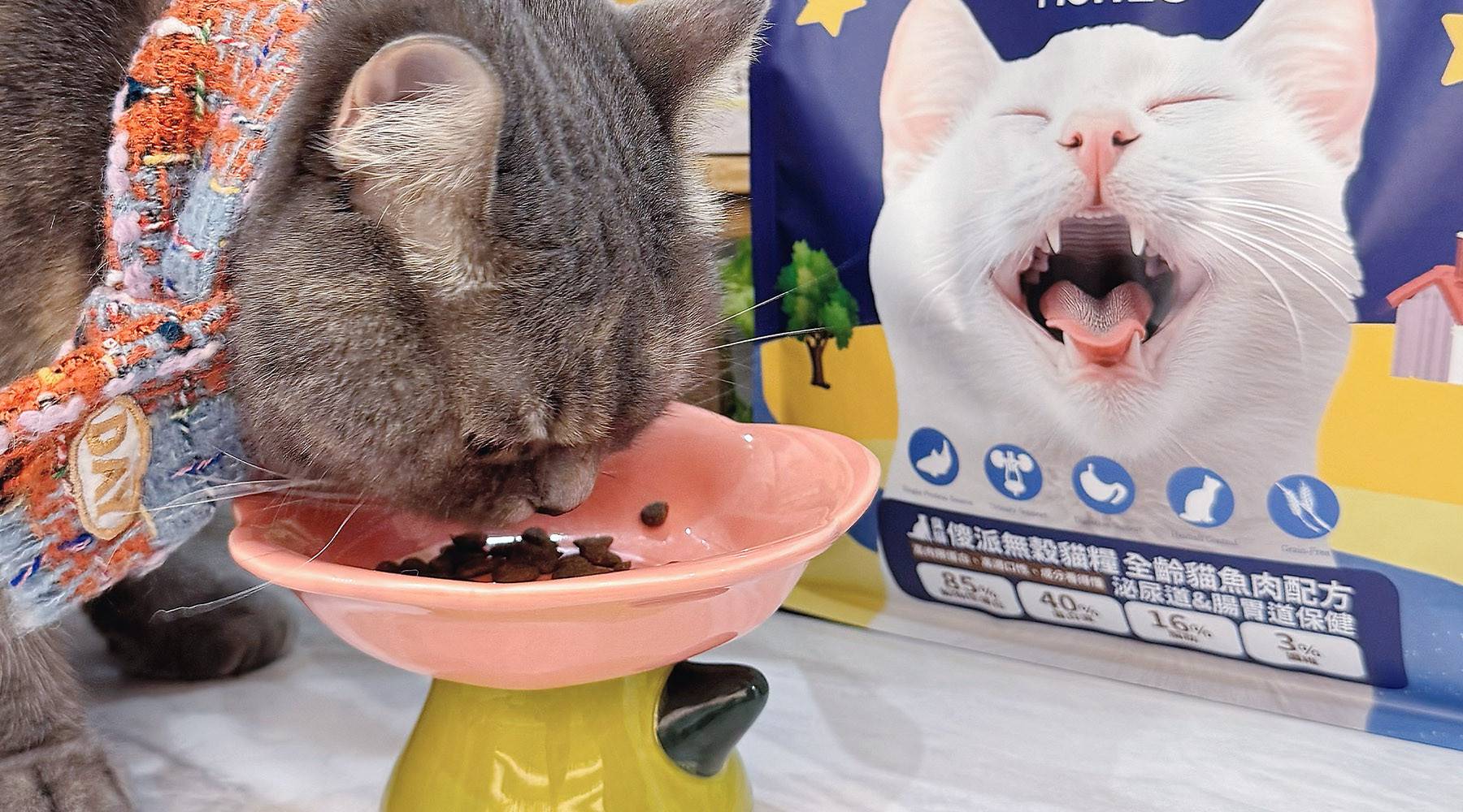 低敏貓飼料,低敏貓飼料推薦,傻派,傻派貓飼料,臭貓,臭貓動物園