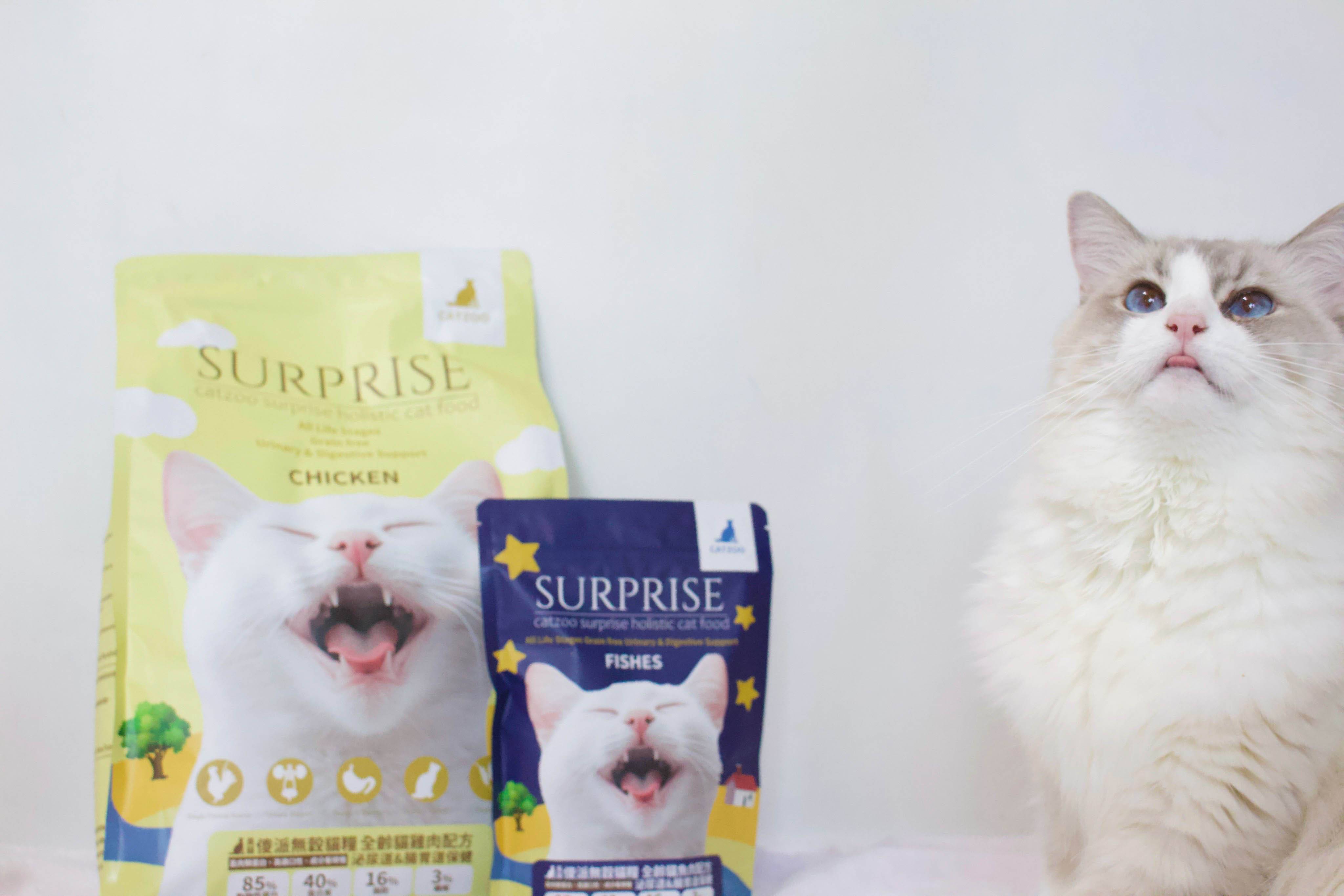 傻派貓飼料,傻派貓飼料評價
