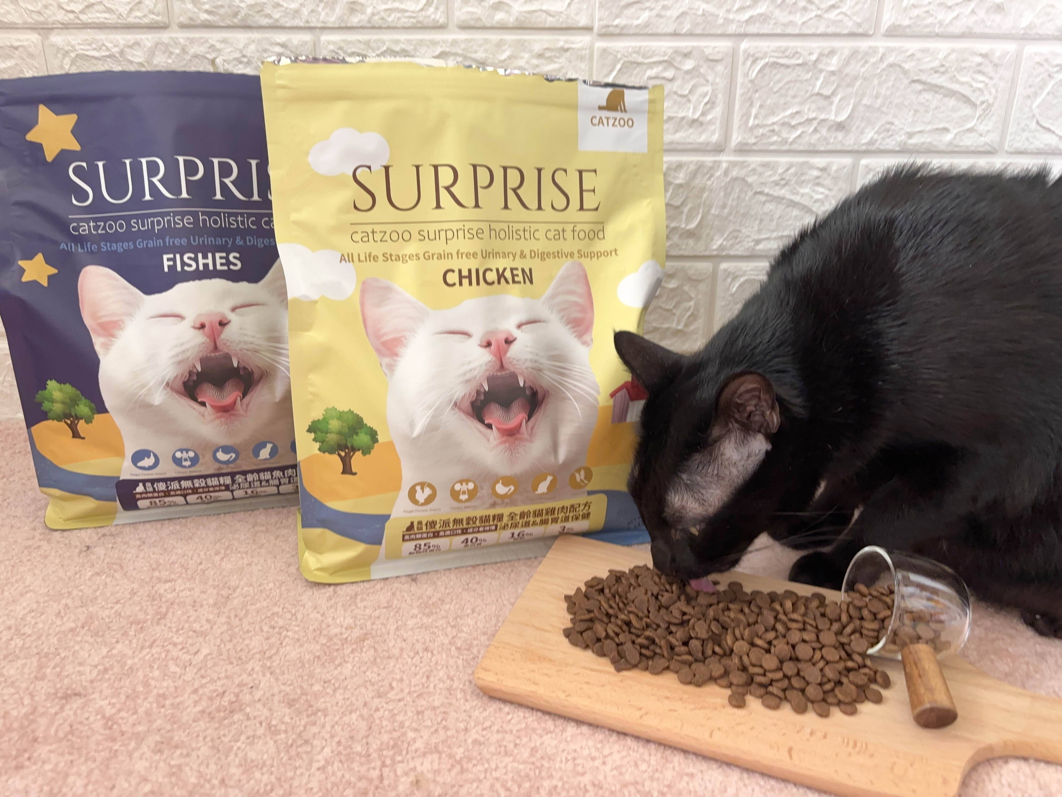 傻派貓飼料,傻派,適口性好的貓飼料,適口性,適口性好,