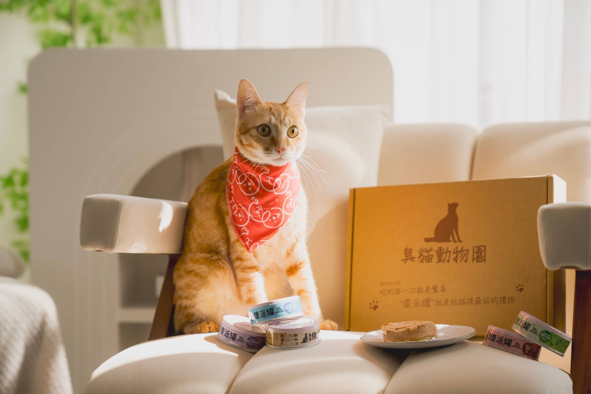 貓主食罐推薦,低磷貓罐頭推薦,貓肉泥罐頭推薦,無膠貓罐頭推薦,貓咪濕食推薦,貓主食罐頭推薦,主食罐推薦