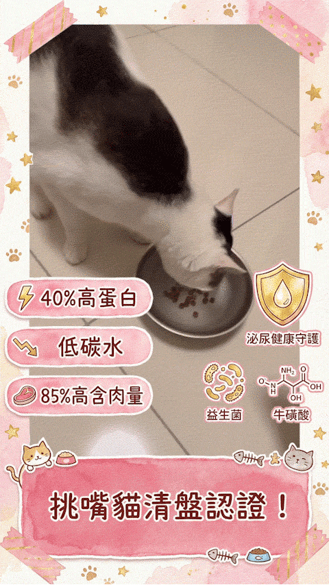 傻派貓飼料挑嘴貓飼料適口性高