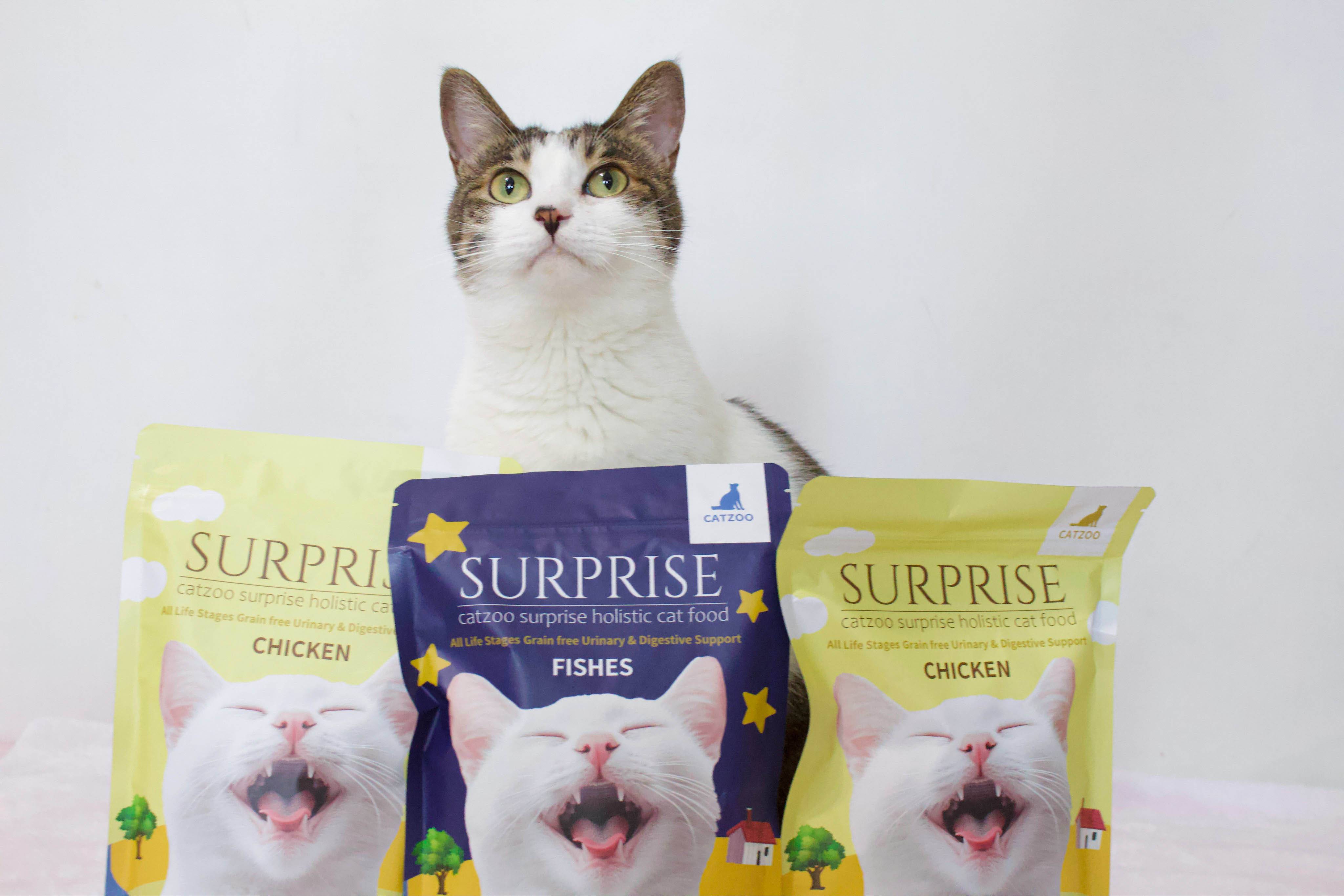 傻派貓飼料,傻派貓飼料評價