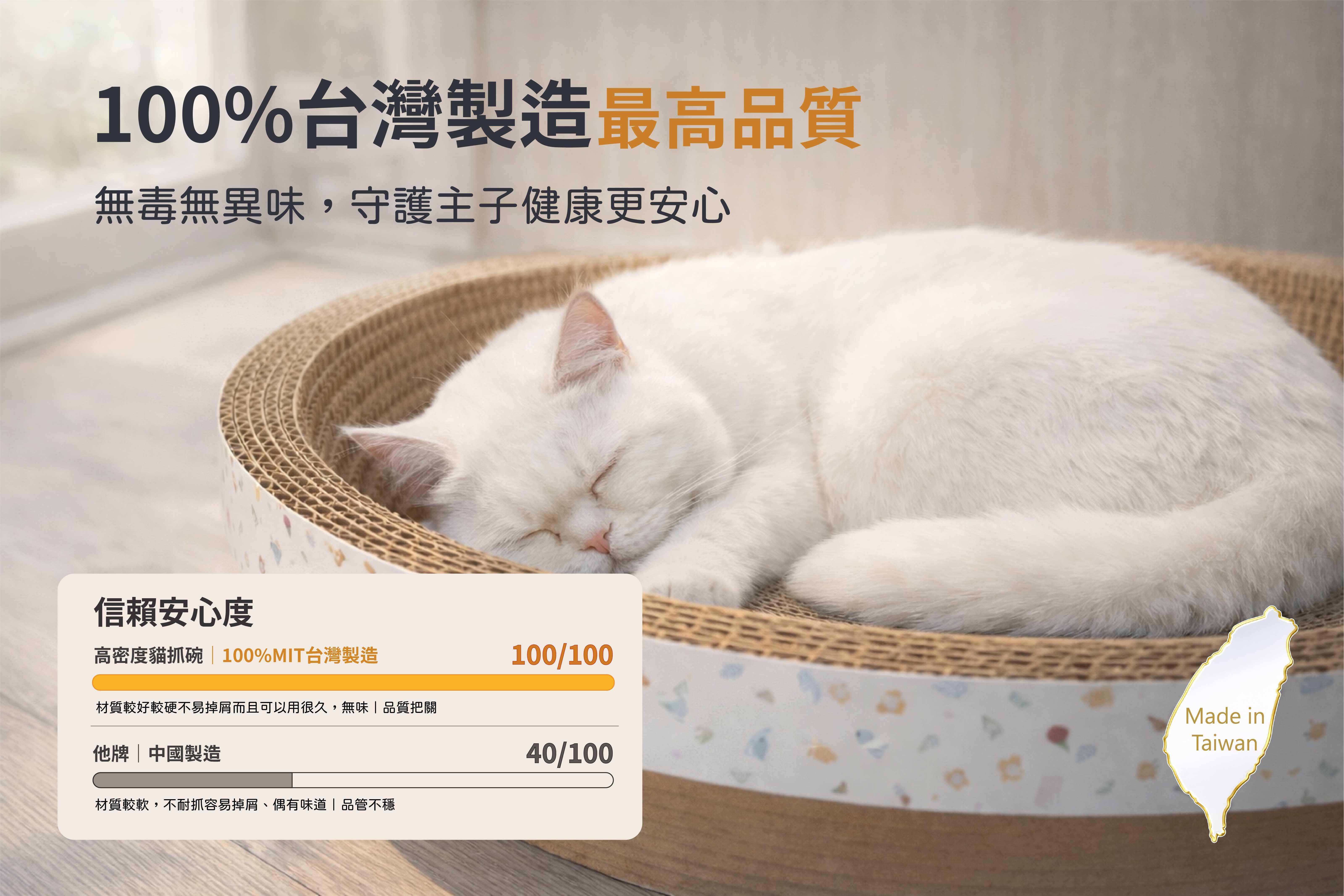 空間美學|XL 巨貓專屬座艙