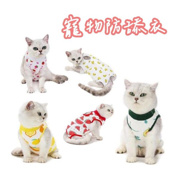 寵物防舔衣｜術後衣絕育衣 寵物防舔衣,寵物術後衣,寵物絕育衣,寵物防舔衣ptt,寵物術後衣ptt,寵物絕育衣ptt,寵物防舔衣dcard,寵物術後衣dcard,寵物絕育衣dcard,