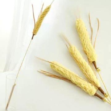 植物造型逗貓棒｜與貓互動增進感情 逗貓棒,逗貓棒ptt,逗貓棒dcard