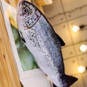 貓薄荷仿真魚抱枕｜放鬆心情紓解壓力 貓草魚,貓草魚玩具,仿真魚玩具,貓草魚ptt,貓草魚玩具ptt,仿真魚玩具ptt,貓草魚dcard,貓草魚玩具dcard,仿真魚玩具dcard,