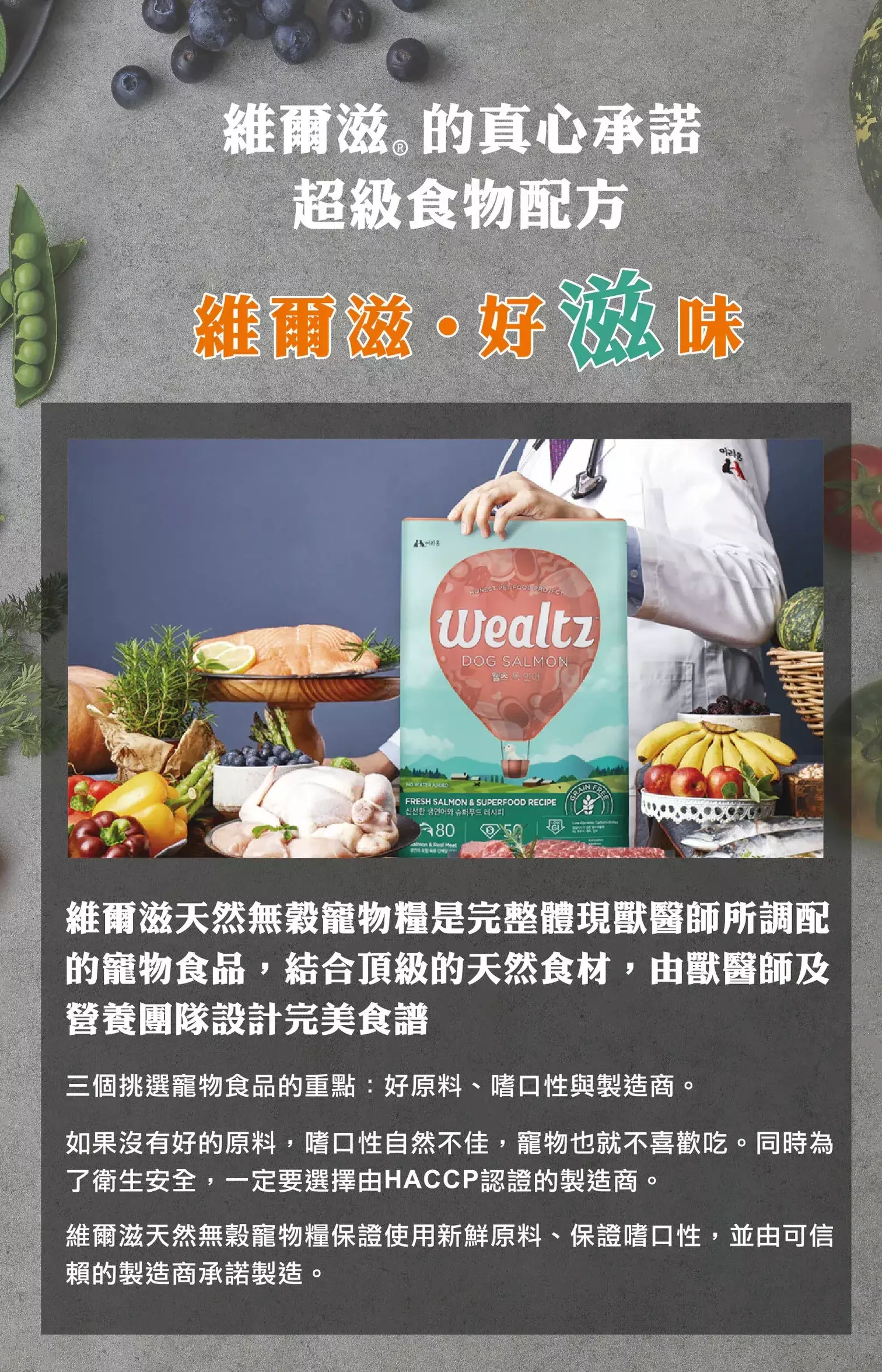 維爾滋,維爾滋貓飼料,維爾滋貓飼料評價,維爾滋幼貓飼料