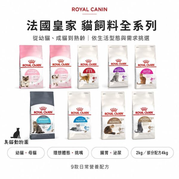 ROYAL CANIN 法國皇家貓飼料 從離乳幼貓、一般成貓到腸胃敏感、泌尿保健、挑嘴及11歲以上熟齡需求,都能依年齡與生活型態挑選合適配方。