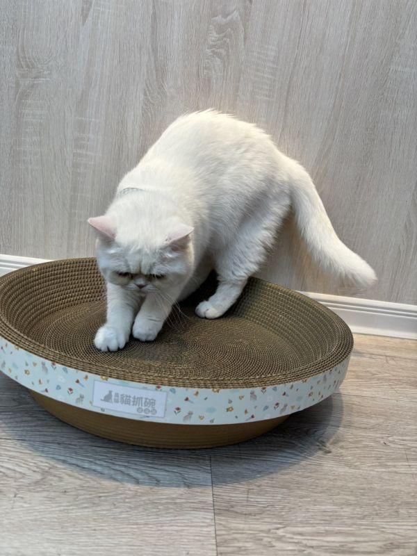 【臭貓動物園】高密度貓抓碗×4｜台灣製高密度不掉屑設計 貓,貓抓板,貓抓板哪裡買,貓抓碗,臭貓,臭貓動物園,貓抓板推薦,貓抓碗推薦,貓抓窩