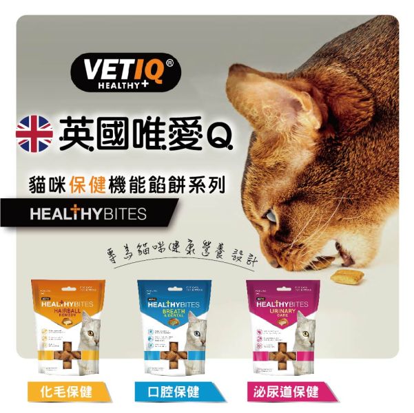 【唯愛Q】貓餡餅 臭貓動物園,唯愛Q,貓,餡餅,機能,新北,中和,寵物店
