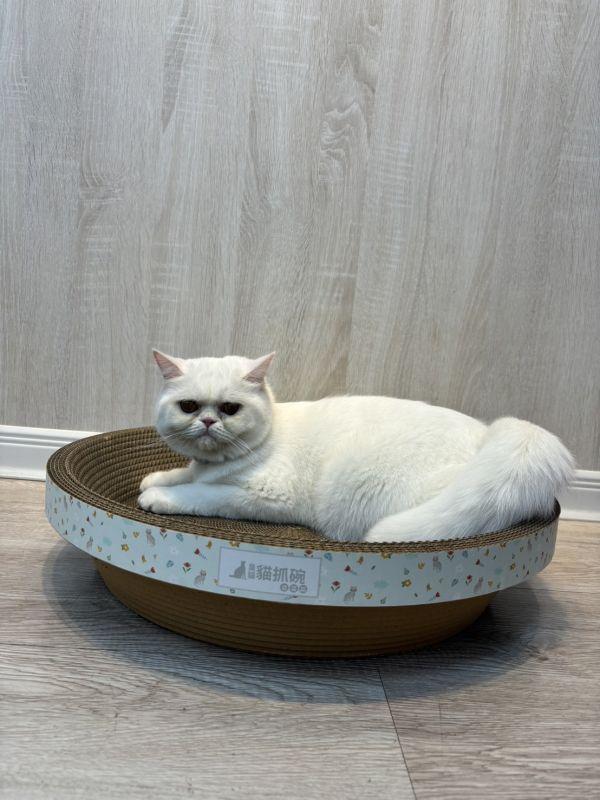 【臭貓動物園】高密度貓抓碗×4｜台灣製高密度不掉屑設計 貓,貓抓板,貓抓板哪裡買,貓抓碗,臭貓,臭貓動物園,貓抓板推薦,貓抓碗推薦,貓抓窩