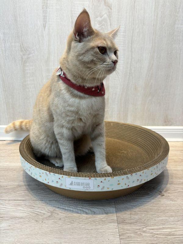 【臭貓動物園】高密度貓抓碗｜台灣製高密度不掉屑設計 貓,貓抓板,貓抓板哪裡買,貓抓碗,臭貓,臭貓動物園,貓抓板推薦,貓抓碗推薦,貓抓窩