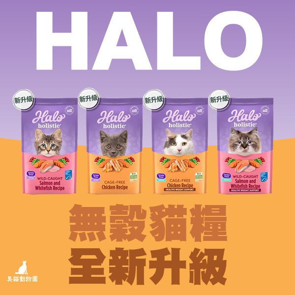 【嘿囉HALO】無穀貓飼料6lb(幼貓雞肉/幼貓鮭魚/成貓雞肉/成貓鮭魚/HALO貓飼料) halo貓飼料,halo貓飼料dcard,halo貓飼料ptt,halo貓飼料評價,halo幼貓飼料ptt,halo幼貓飼料評價,halo幼貓飼料dcard,halo貓飼料6磅,HALO貓飼料成分,HALO成分