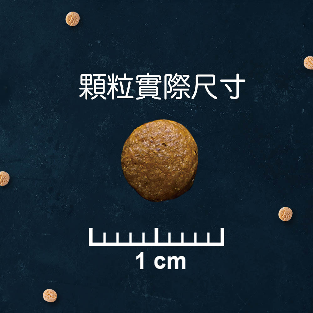 特百滋,特百滋貓飼料,特百滋貓糧