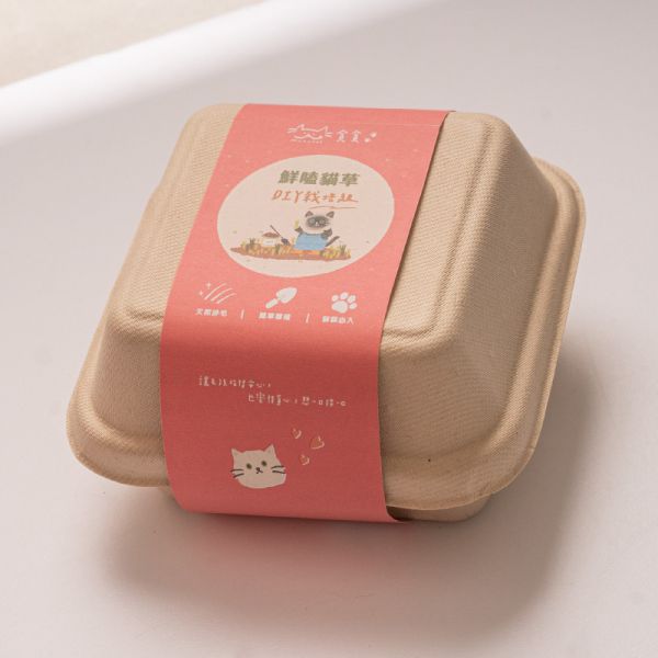 【貪貪muchee】鮮嗑DIY貓草栽培組(貓草/貪貪貓草) 貪貪貓草,貪貪鮮嗑DIY栽培組,貓草PTT,貪貪貓草DCARD,貪貪貓草PTT,貓草推薦,貪貪鮮嗑DIY栽培組PTT,貪貪鮮嗑DIY栽培組DCARD,貓草,DIY貓草,貪貪,貪貪評價,貪貪dcard,貪貪ptt