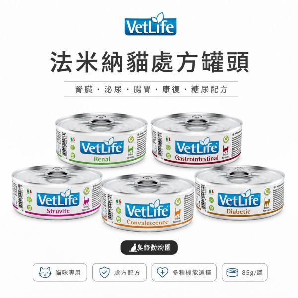法米納貓處方罐頭 精選法米納貓處方罐頭多種配方,幫你快速找到適合主子的日常照護選擇