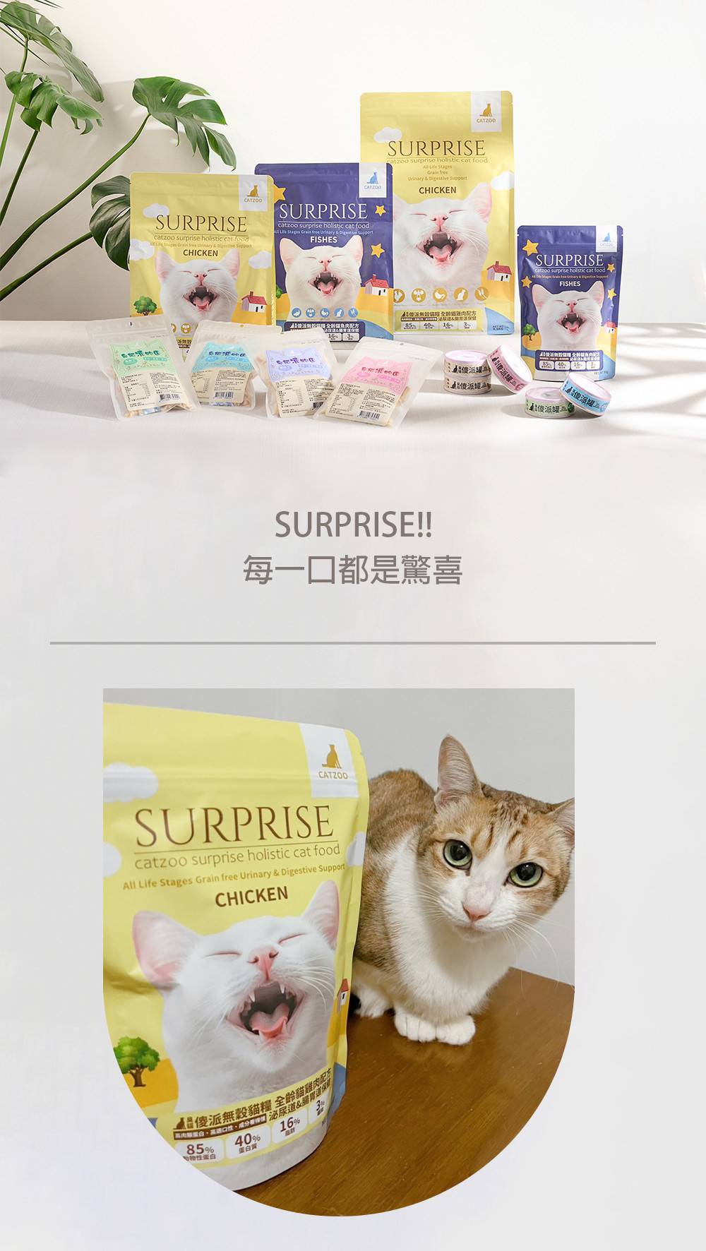 傻派貓飼料,傻派貓飼料成份,傻派貓飼料評價,貓飼料,貓飼料推薦