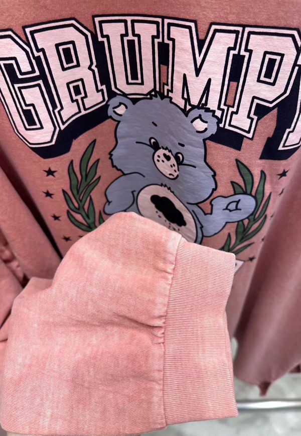 彩虹熊長版大學T 韓國 正韓 東大門 空運