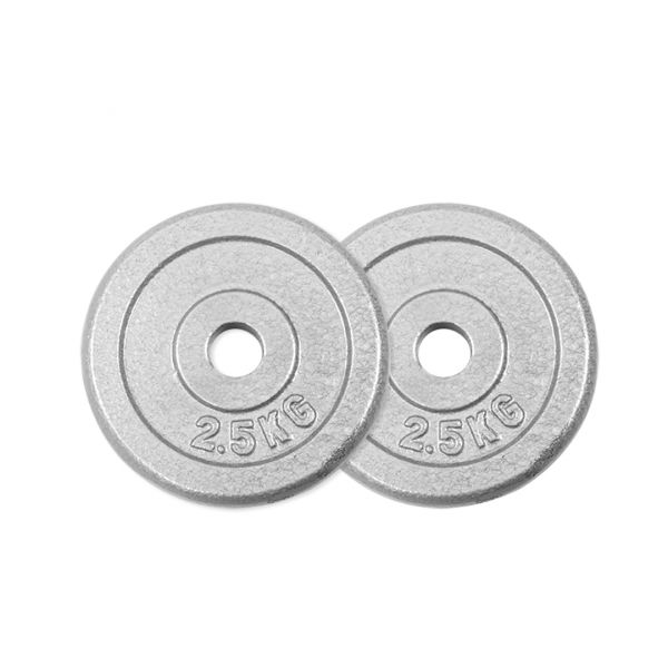 A1-15-2.5KG 灰烤槓片2.5KG（孔徑27mm）/二入 