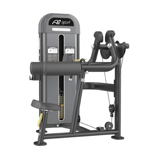 DNA255 肩部訓練機 Gym,Fitness,Sport,Exercise,ABsport,Pro,Commercial Machine,Lateral Raise