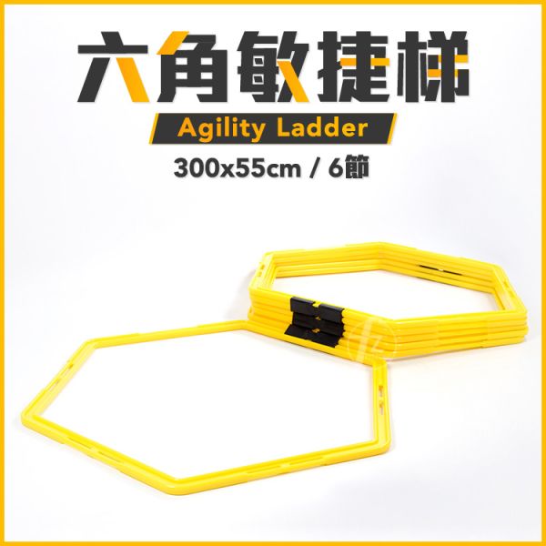 AP-366 六角敏捷訓練梯 