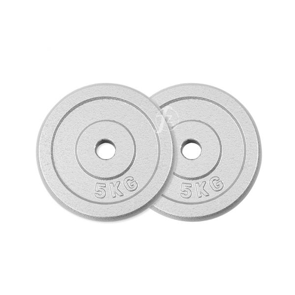 A1-15-5KG Standard Iron Plate W 5KG 