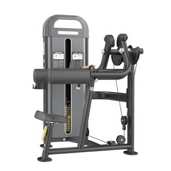 DNA255 Lateral Raise Gym,Fitness,Sport,Exercise,ABsport,Pro,Commercial Machine,Lateral Raise
