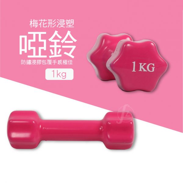 DB-01S-1KG Dumbbell 1KG 