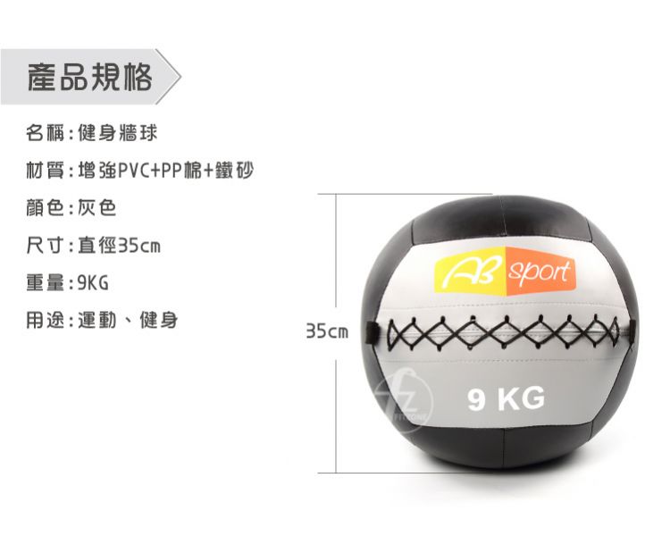 MEBL-007-9KG Wall Ball 9KG 