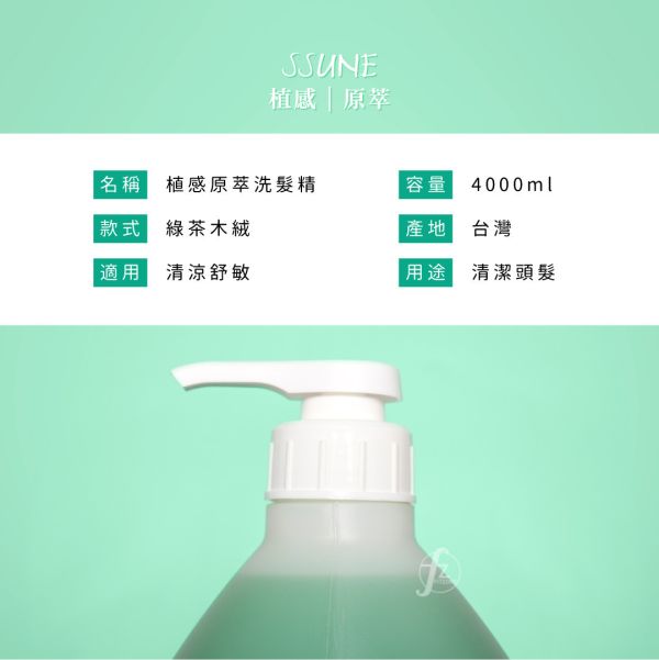 SE400-3 SSUNE Shampoo SSUNE,美髮沙龍,洗髮精,洗髮乳,潤髮乳,護髮,洗髮,沙龍,天然,台灣品牌,綠茶樹,銀杏,蜂膠,髮品