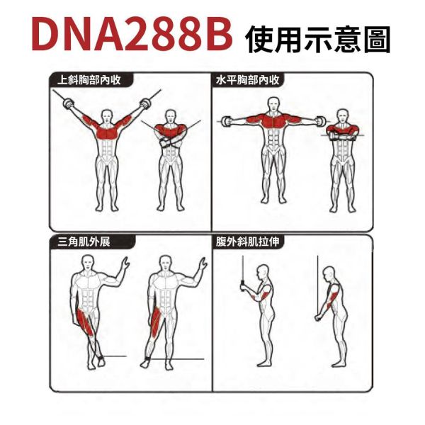 DNA288B Jungle Gym Gym,Fitness,Sport,Exercise,ABsport,Pro,Commercial Machine,Jungle Gym