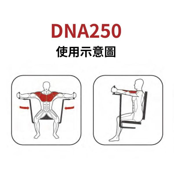 DNA250 蝴蝶训练机 Gym,Fitness,Sport,Exercise,ABsport,Pro,Commercial Machine,Pectoral Fly