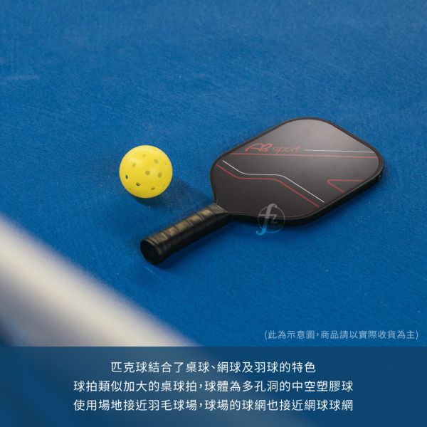 LD-01-001SET 匹克球拍組 匹克球,球拍,球套,球,戶外運動,網球,羽球,桌球