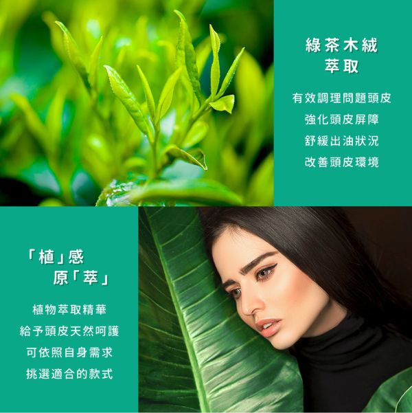 SSUNE－植感原萃護髮素800ml/綠茶木絨 SSUNE,美髮沙龍,洗髮精,洗髮乳,潤髮乳,護髮,洗髮,沙龍,天然,台灣品牌,綠茶樹,銀杏,蜂膠,髮品