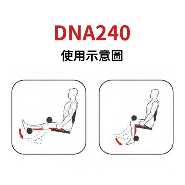 DNA240 屈腿训练机 Gym,Fitness,Sport,Exercise,ABsport,Pro,Commercial Machine,Leg Curl