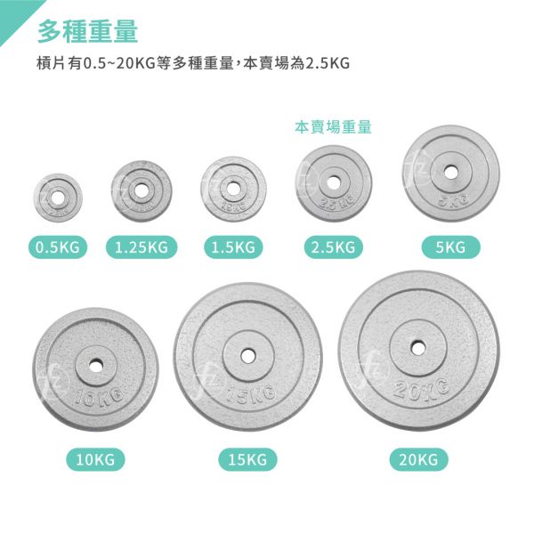 A1-15-2.5KG 灰烤槓片2.5KG（孔徑27mm）/二入 