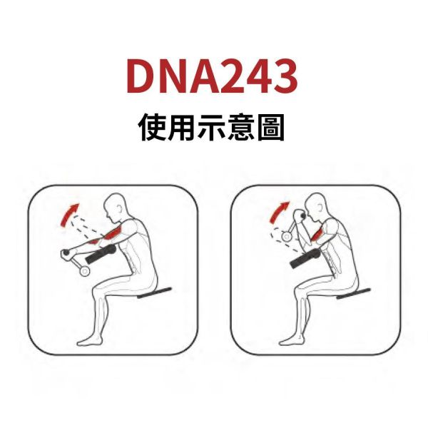 DNA243 二頭肌訓練機 Gym,Fitness,Sport,Exercise,ABsport,Pro,Commercial Machine,Biceps Curl