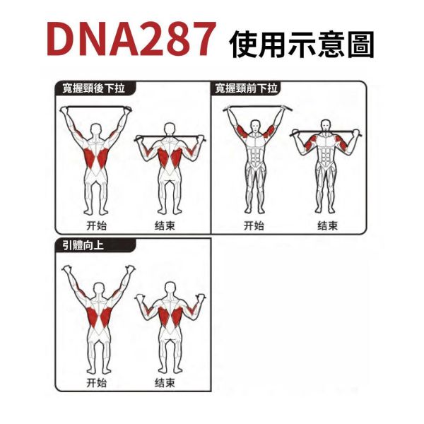 DNA287 大飛鳥 Gym,Fitness,Sport,Exercise,ABsport,Pro,Commercial Machine,Cable Crossover