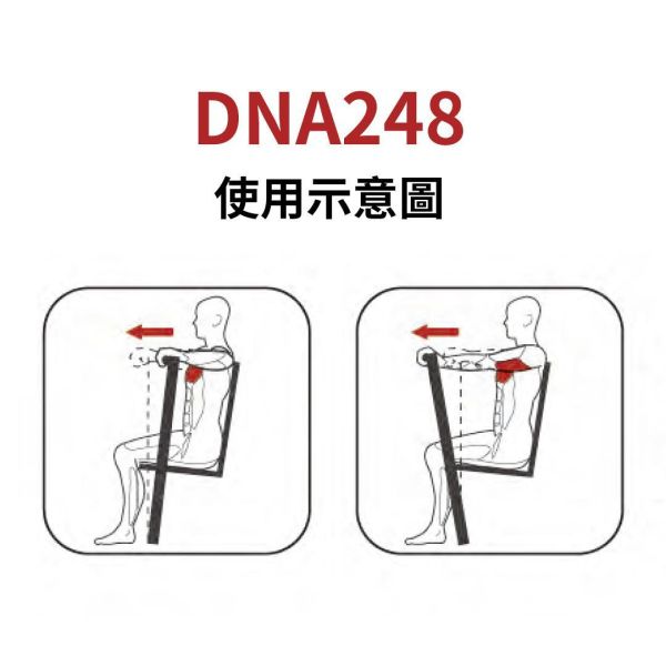 DNA248 胸推训练机 Gym,Fitness,Sport,Exercise,ABsport,Pro,Commercial Machine,Chest Press