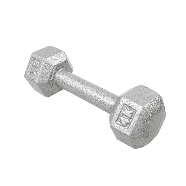 DB-04H-4KG Hex Dumbbells 4KG 