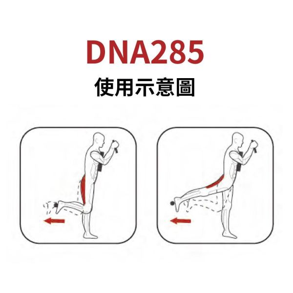 DNA285 後蹬腿訓練機 Gym,Fitness,Sport,Exercise,ABsport,Pro,Commercial Machine,Fly Delt,Prone Leg Curl,Glute
