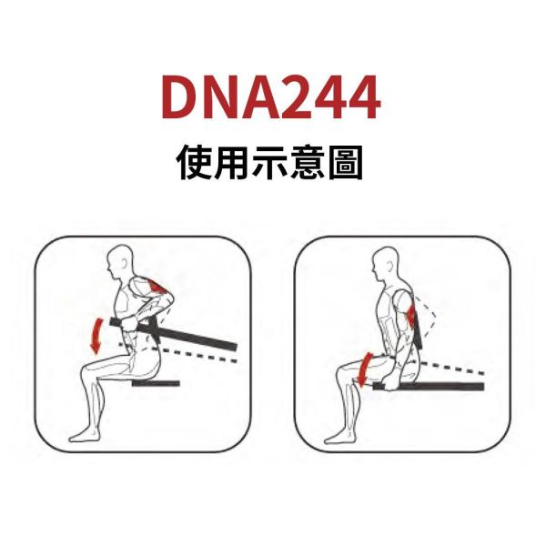 DNA244 Triceps Press Gym,Fitness,Sport,Exercise,ABsport,Pro,Commercial Machine,Triceps Press