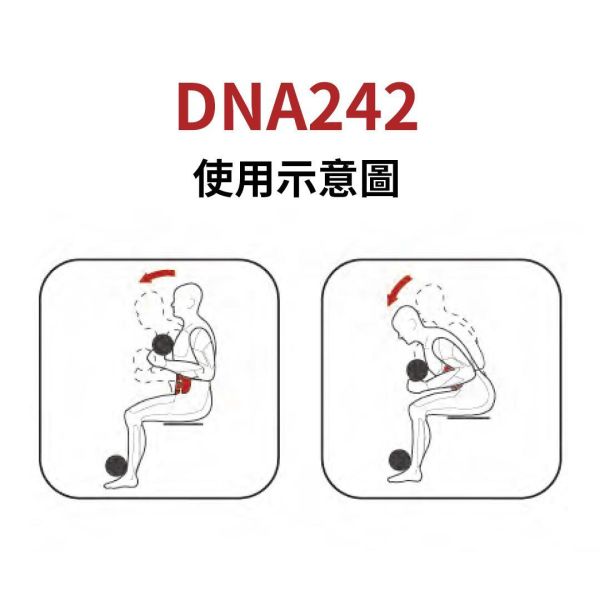 DNA242 腹部前屈训练机 Gym,Fitness,Sport,Exercise,ABsport,Pro,Commercial Machine,Abdominal Crunch