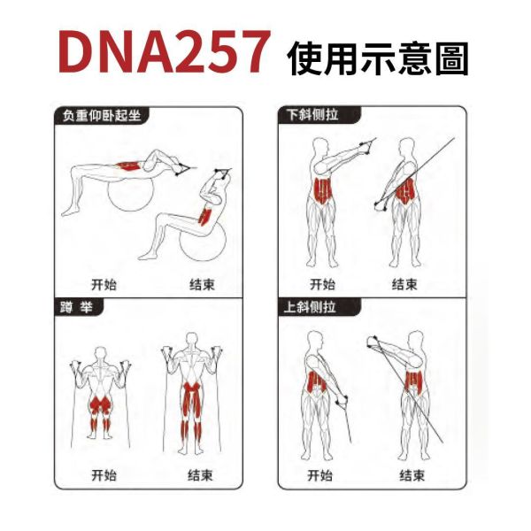 DNA257 小飛鳥 Gym,Fitness,Sport,Exercise,ABsport,Pro,Commercial Machine,Cable Crossover