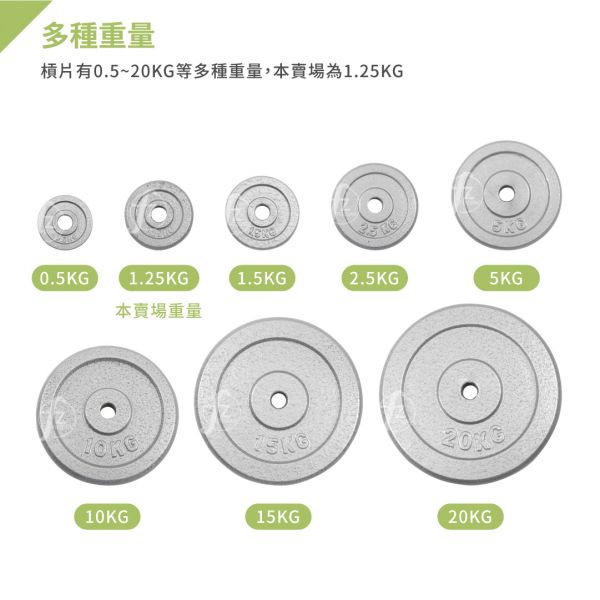 A1-15-1.25KG 灰烤槓片1.25KG（孔徑27mm）/二入 