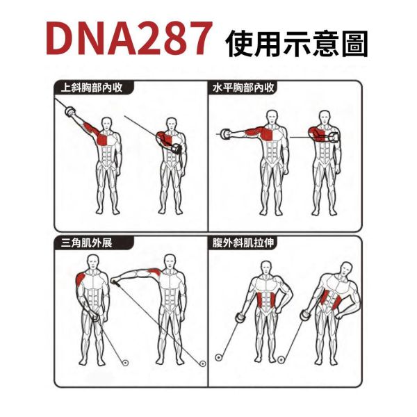 DNA287 大飛鳥 Gym,Fitness,Sport,Exercise,ABsport,Pro,Commercial Machine,Cable Crossover